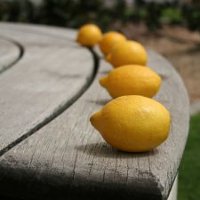 20 способов выжать максимум из лимонов
