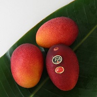Познавательные факты о манго
