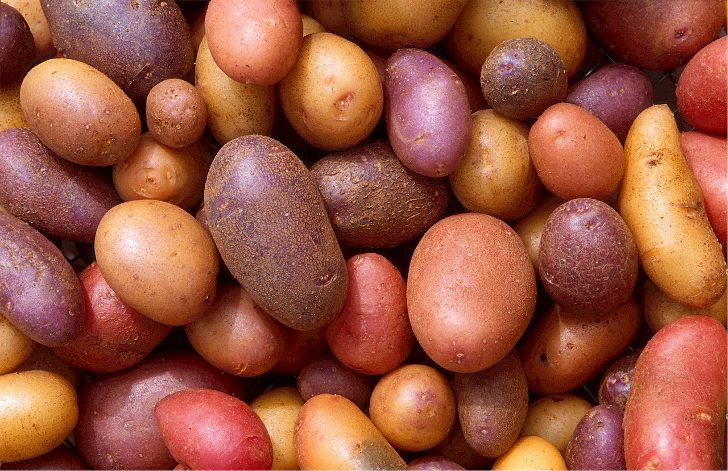 Занимательные факты о картофеле