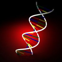 5 фактов о геноме человека