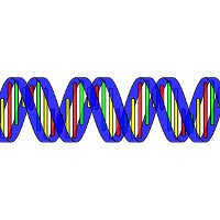 Генетическая революция: ученые могут редактировать геном человека