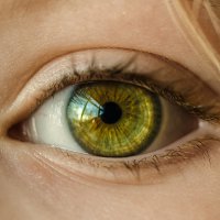 Самые редкие цвета глаз у человека