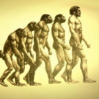 Продолжает ли человек эволюционировать? Мнение ученых