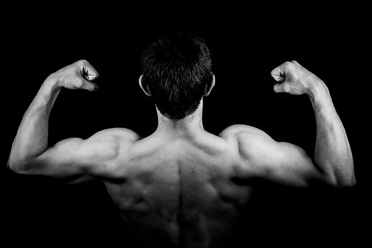 Факты о самых сильных мышцах