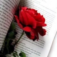 5 лучших книг о любви