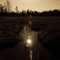 Свечение на болотах: мифы и факты