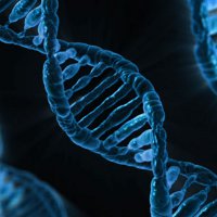 7 необычных изобретений генной инженерии