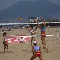 Интересные факты о пляжном волейболе