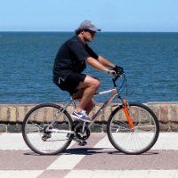 10 фактов о велоспорте