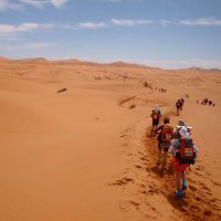 Песчаный марафон: самый сложный марафон в мире