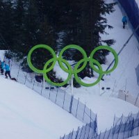 Необычные случаи на зимних Олимпийских играх