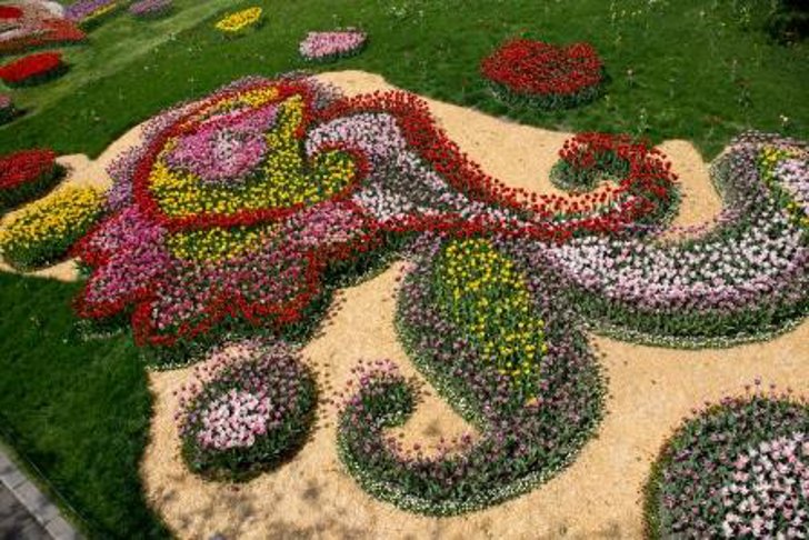 Киевская городская выставка тюльпанов на Певческом поле