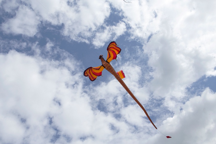 Международный фестиваль воздушных змеев в Портсмуте