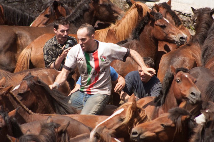 Фестиваль укрощения диких лошадей «Рапа-дас-бестас»