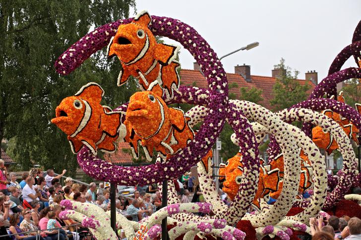 Парад цветов в Волленхове